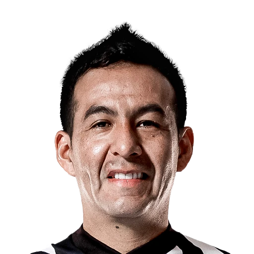 卡多索